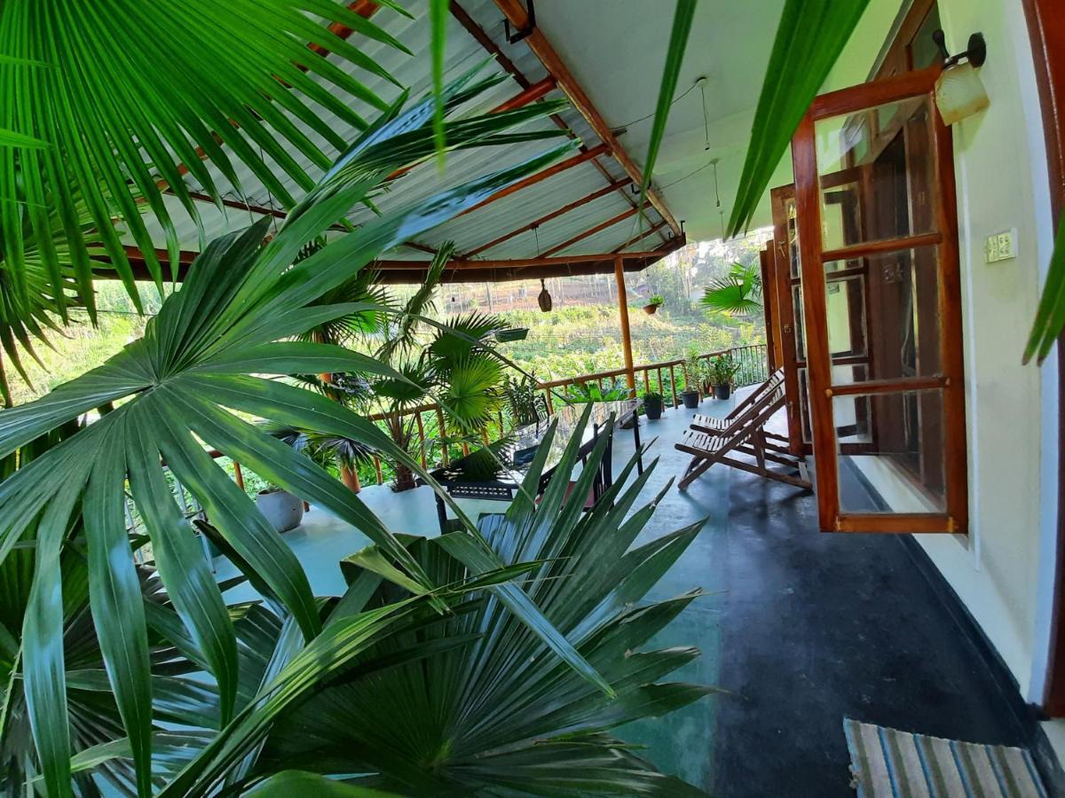 אלה Serenity Homestay מראה חיצוני תמונה
