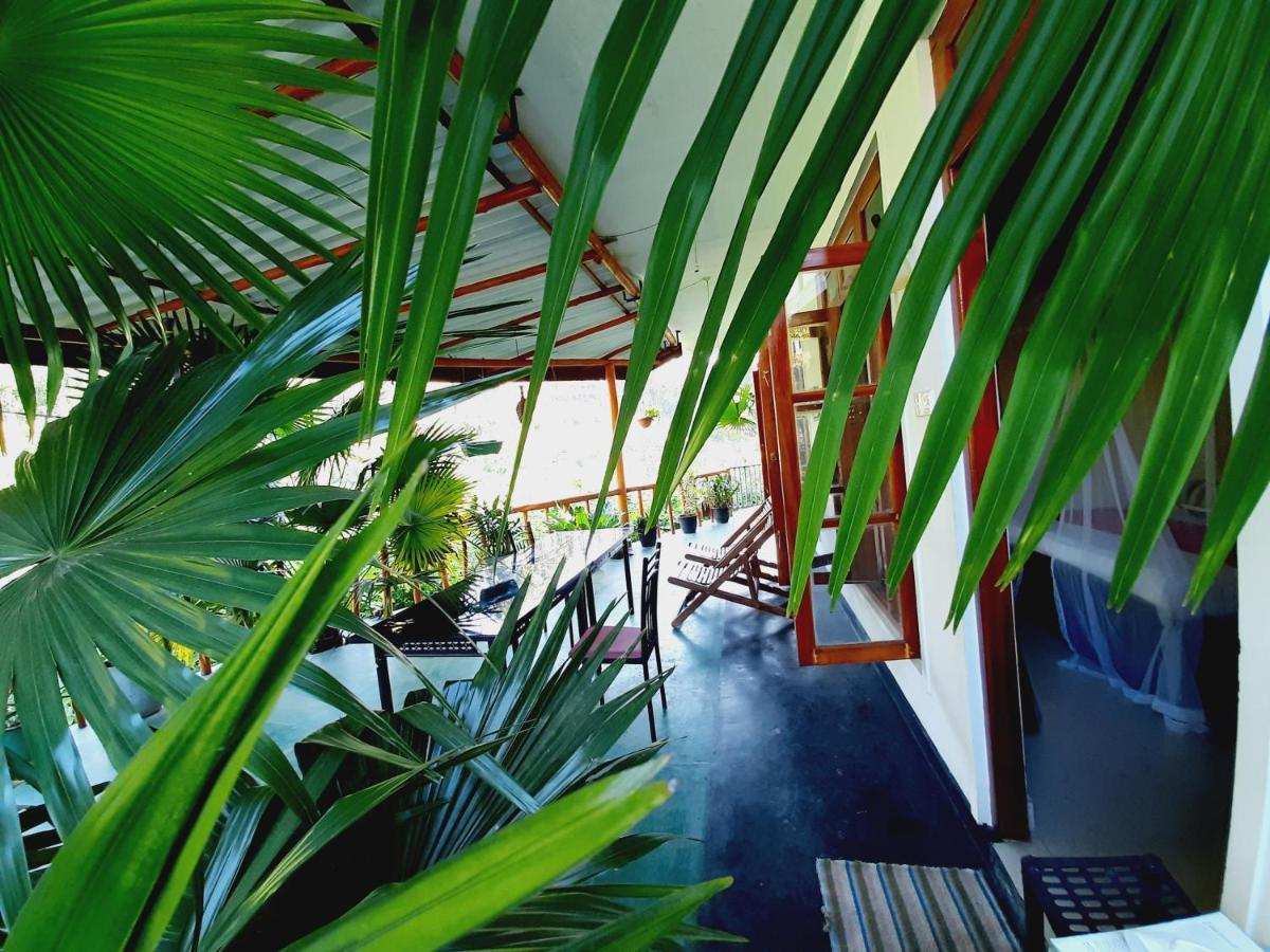 אלה Serenity Homestay מראה חיצוני תמונה